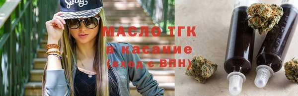 индика Елизово