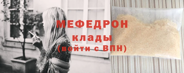 индика Елизово