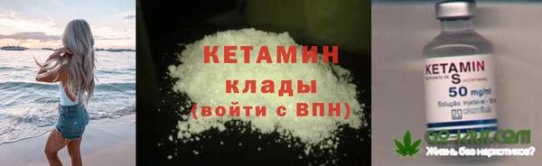 индика Елизово