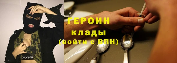 индика Елизово