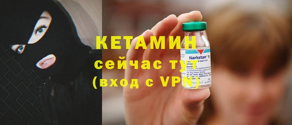 индика Елизово