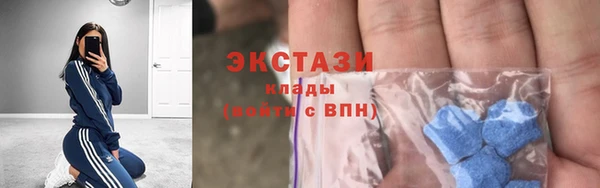 индика Елизово