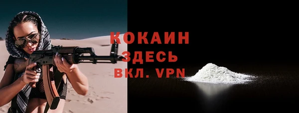 индика Елизово