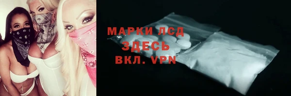 индика Елизово