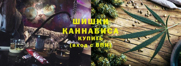 индика Елизово