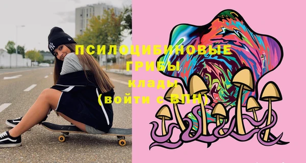 индика Елизово