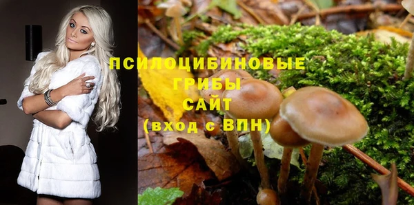 ECSTASY Яранск