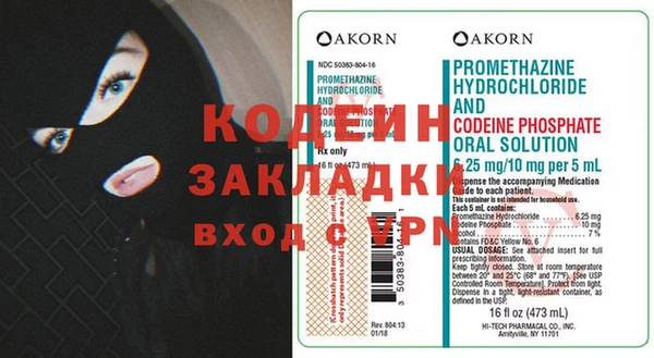 индика Елизово