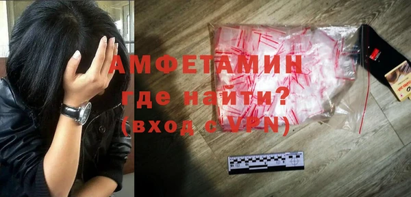 индика Елизово