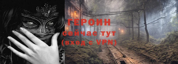 индика Елизово
