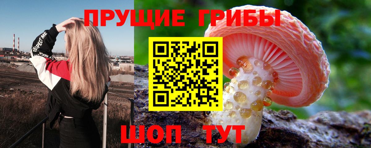 Псилоцибиновые грибы прущие грибы  Губкин 